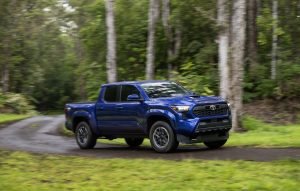 Toyota Tacoma 2024 - diseño exterior, en carretera boscosa